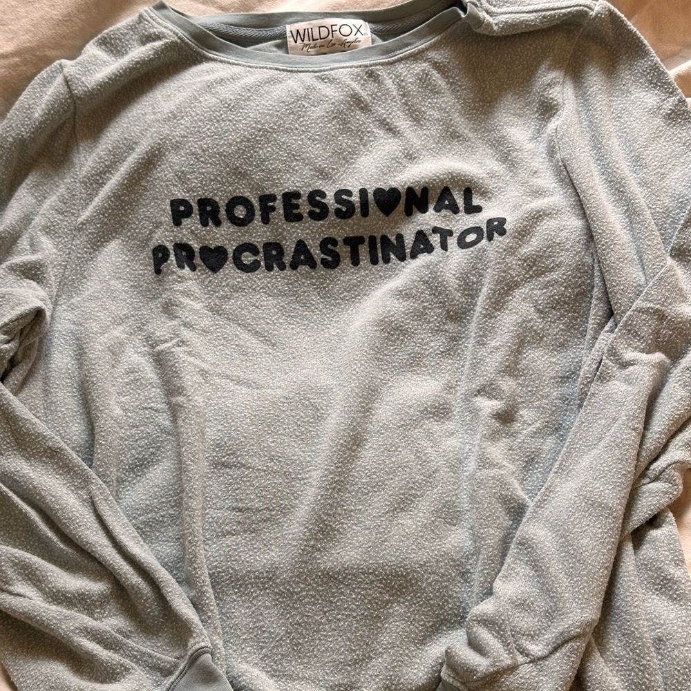Wildfox Baggy Beach Jumper Sweatshirt Professional Procrastinator - Mint - Large